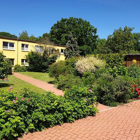 Ferienwohnung Ruegen In Samtens Exterior photo